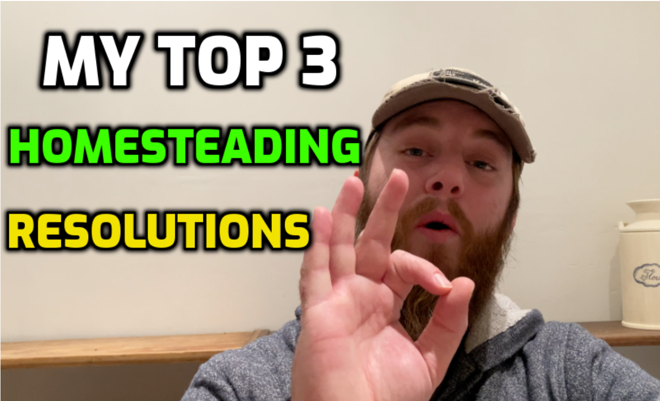 My TOP 3 Homesteading New Years Resolution